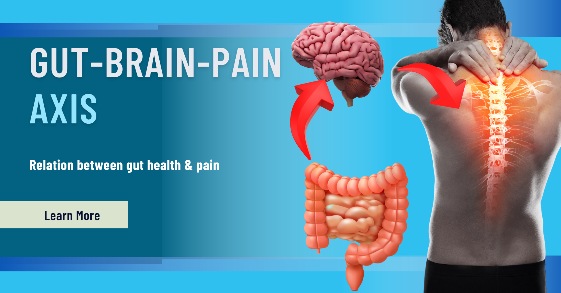 gut-brain-pain axis